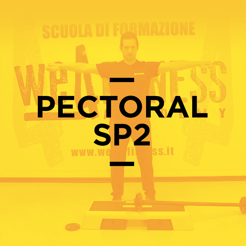 pectoral_2