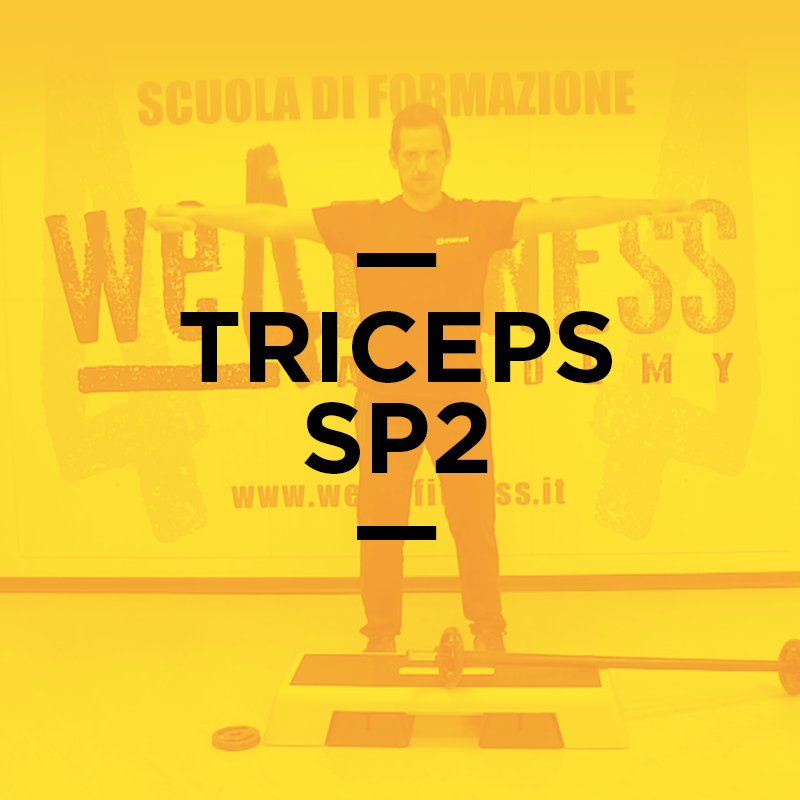 triceps_2
