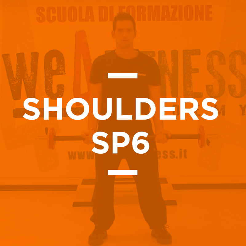 shoulders_06